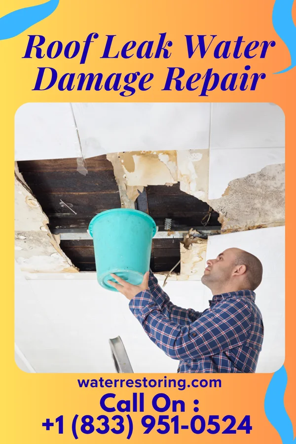 Roof Leak Water Damage Repair in Castle Hills, TX